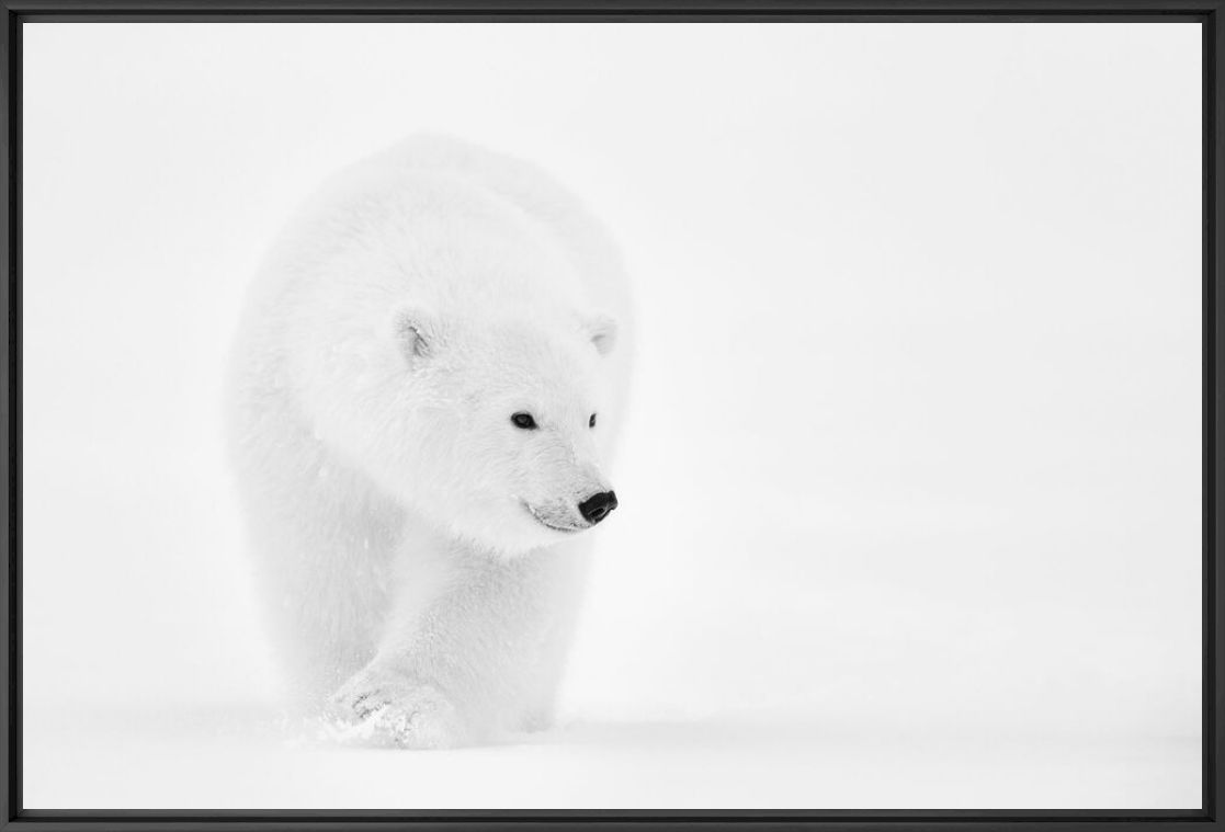 Fotografie LOOKING FOR MUM - NOLWENN HADET - Bildermalerei