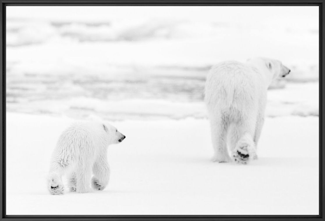 Photographie So long - NOLWENN HADET - Tableau photo