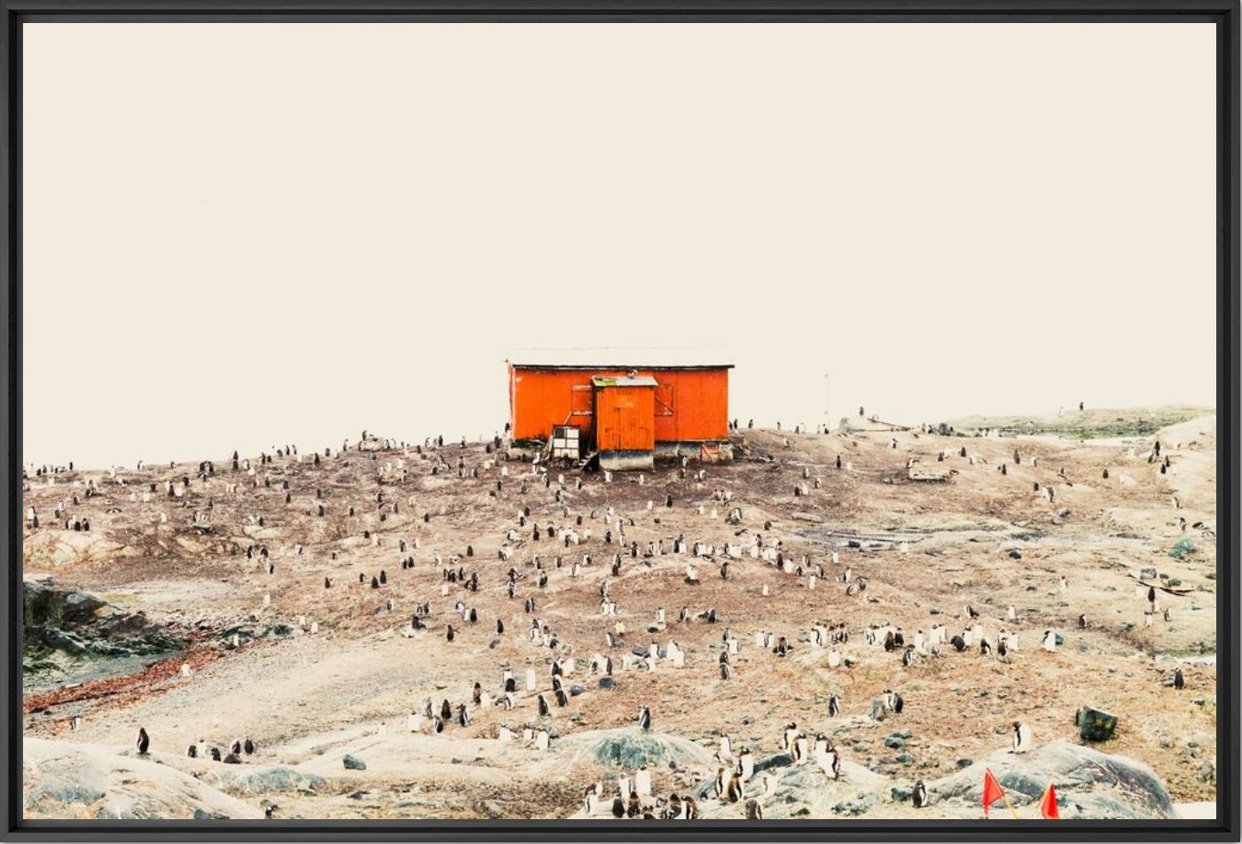 Kunstfoto Ma cabane au pôle sud  - Olivier GOY - Foto schilderij