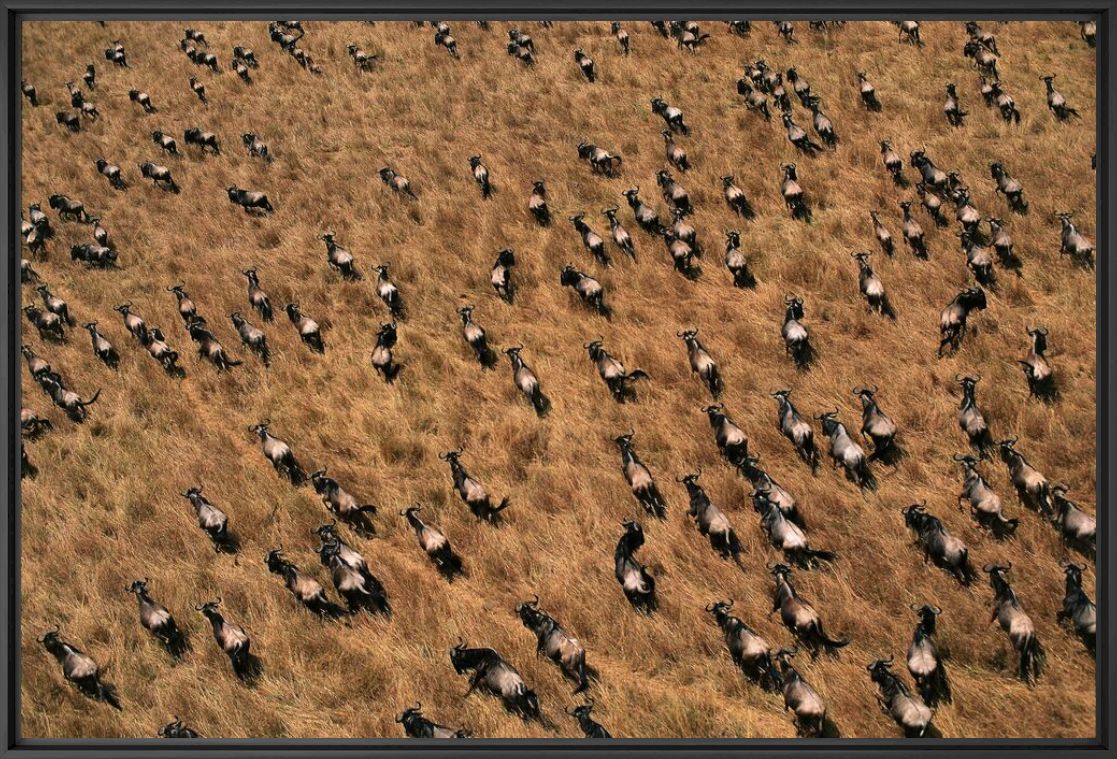 Fotografie Comme une dérive infinie - PATRICK DE WILDE - Bildermalerei