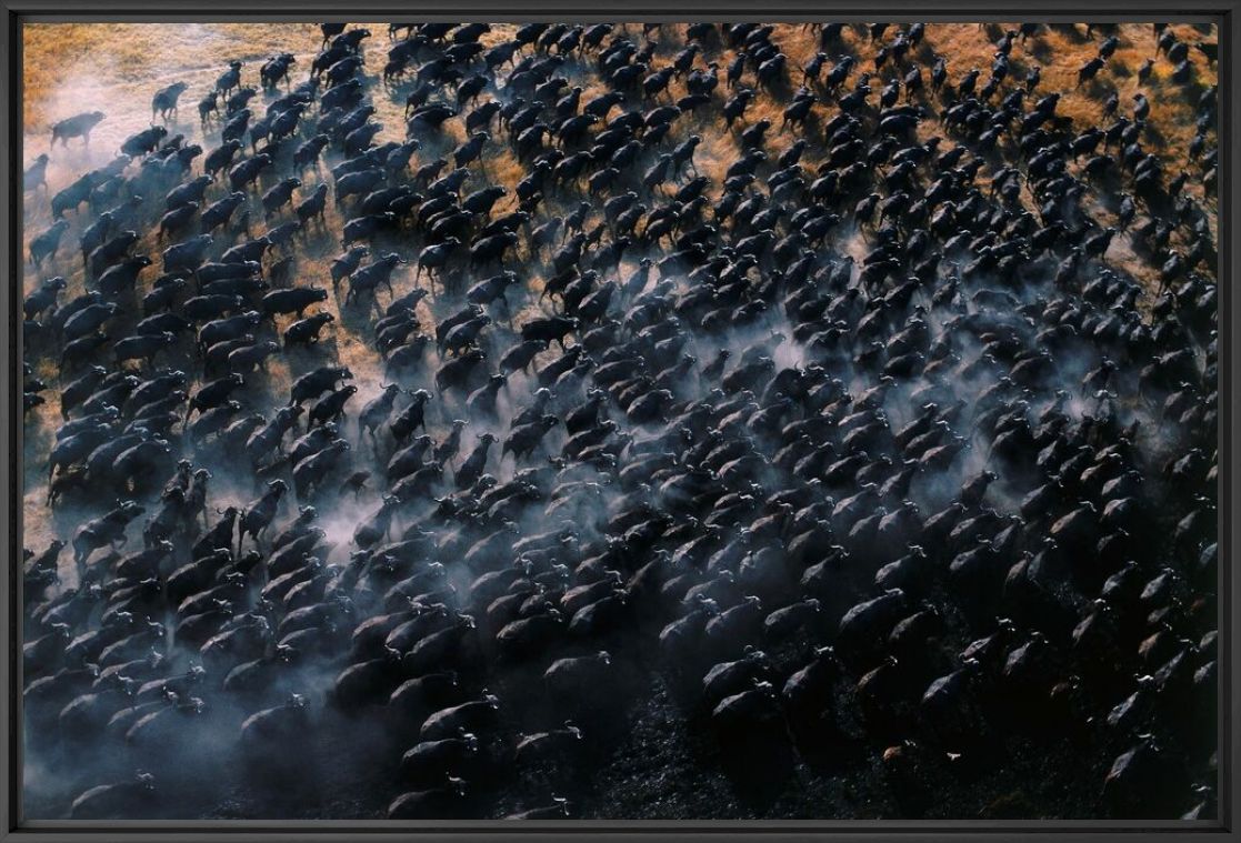 Photographie Comme une mer déchainée - PATRICK DE WILDE - Tableau photo