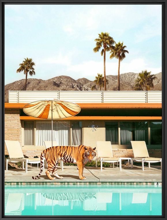 Fotografia POOLSIDE TIGER - PAUL FUENTES - Pittura di immagini