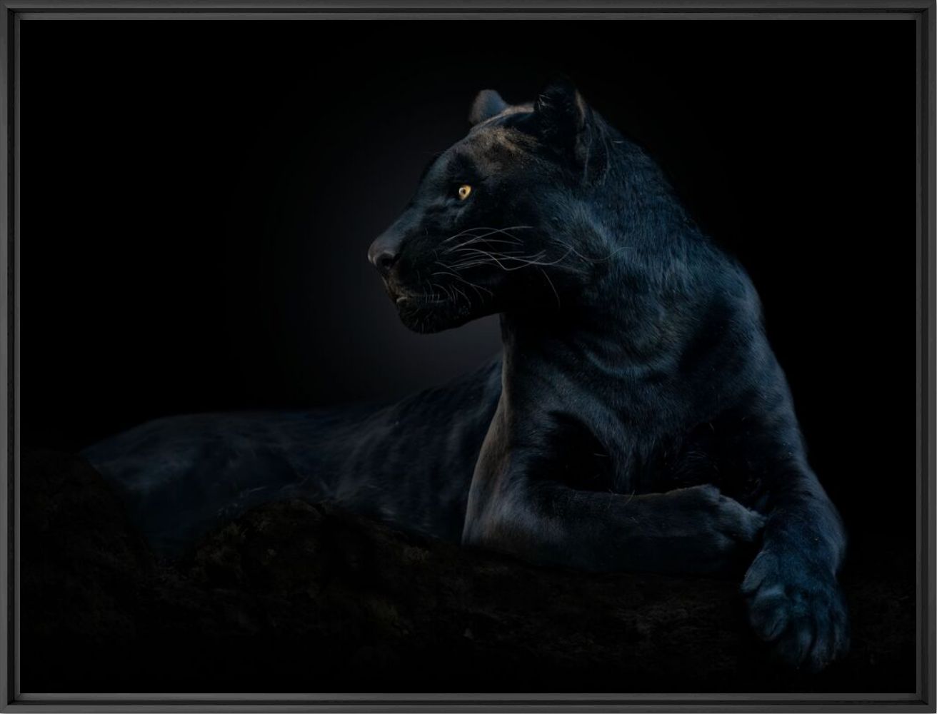 Kunstfoto Black panther - PEDRO JARQUE KREBS - Foto schilderij