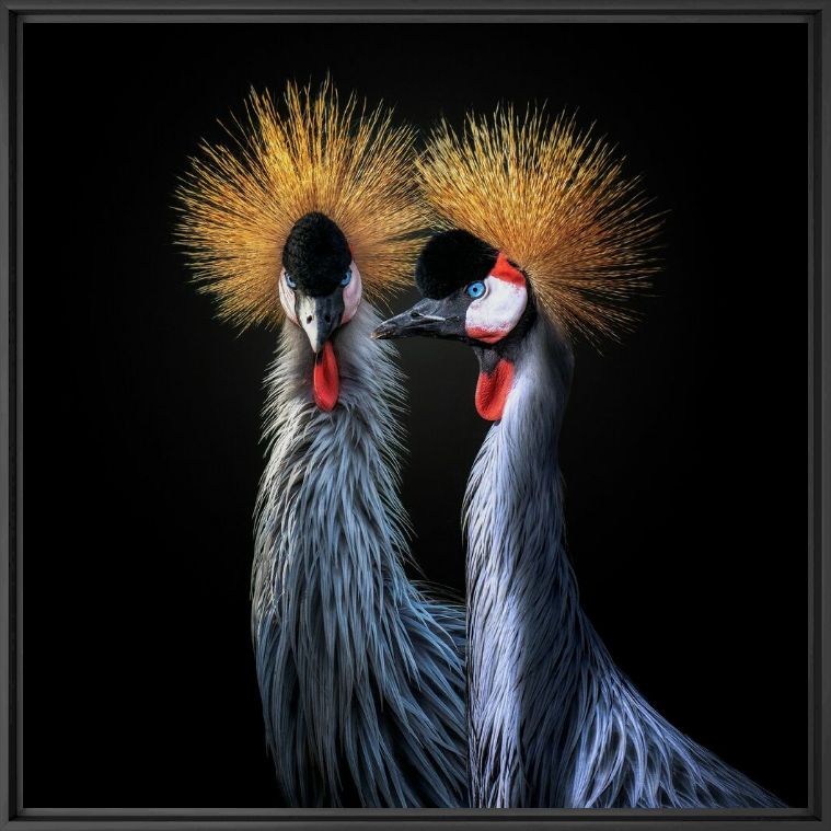 Photographie GOSSIPING - PEDRO JARQUE KREBS - Tableau photo