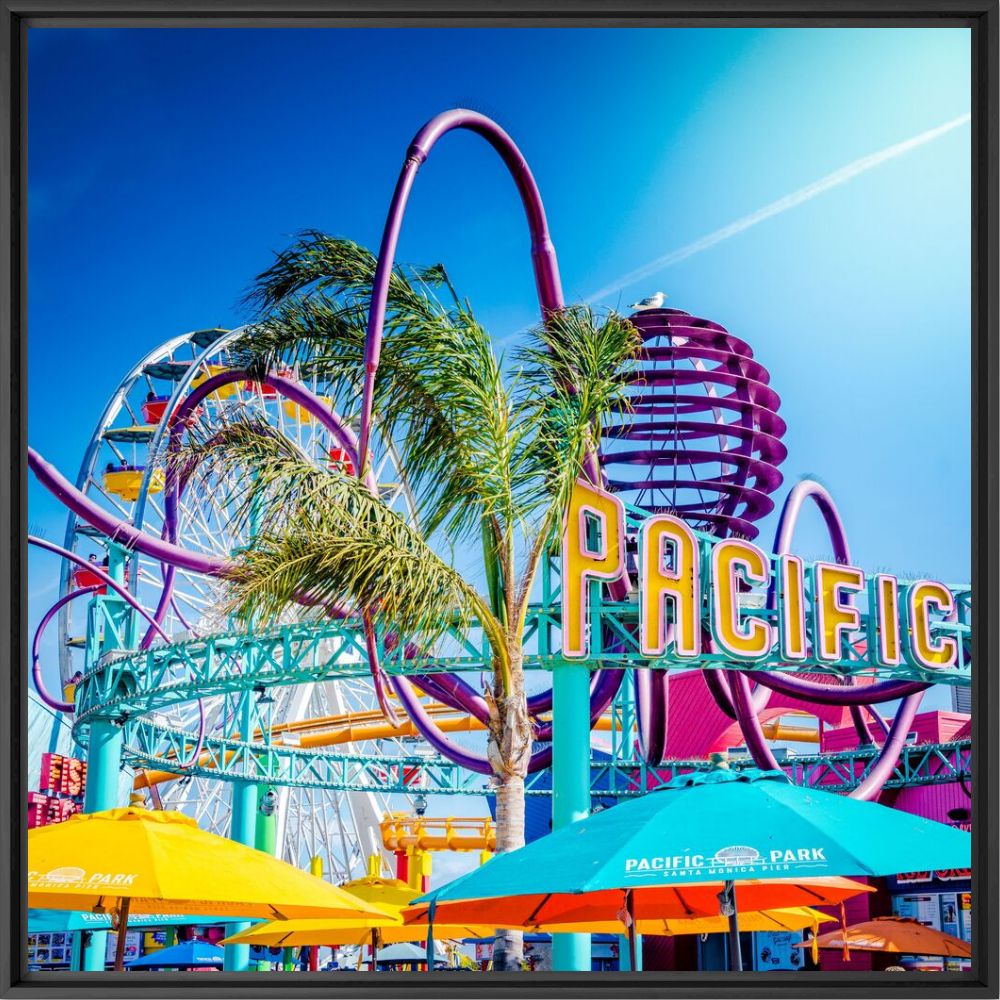 Photographie Seagull at the Pacific Park Santa Monica Pier - Philippe AVIGNON - Tableau photo