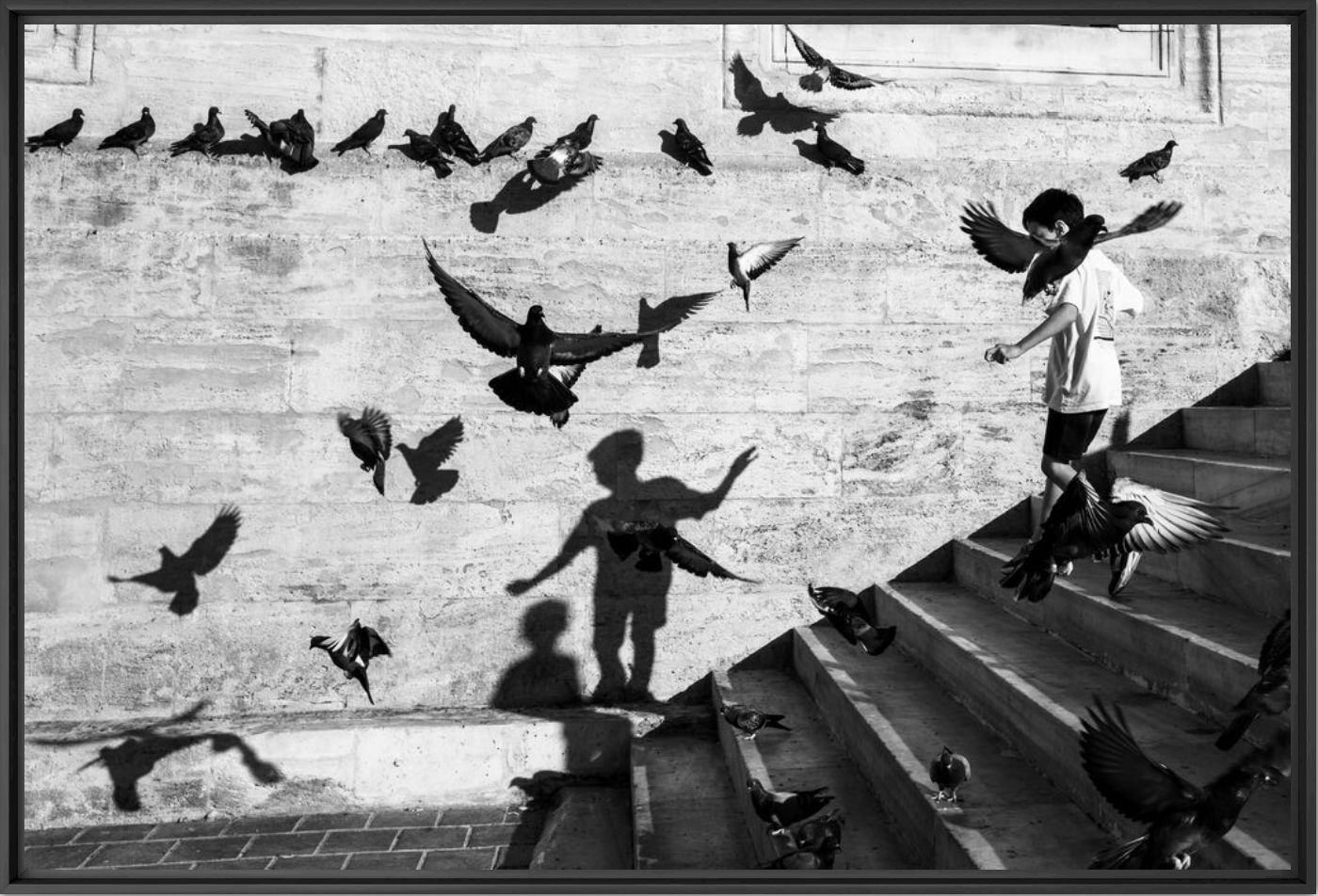 Kunstfoto I want to fly - RangeFinder X  - Foto schilderij