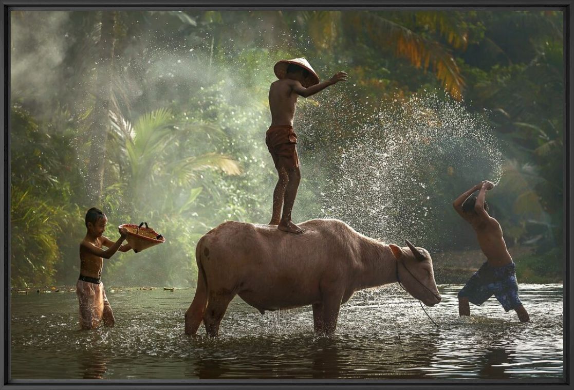 Photograph TAKING SHOWER WITH BUFFALO - RARINDRA PRAKARSA - Picture painting