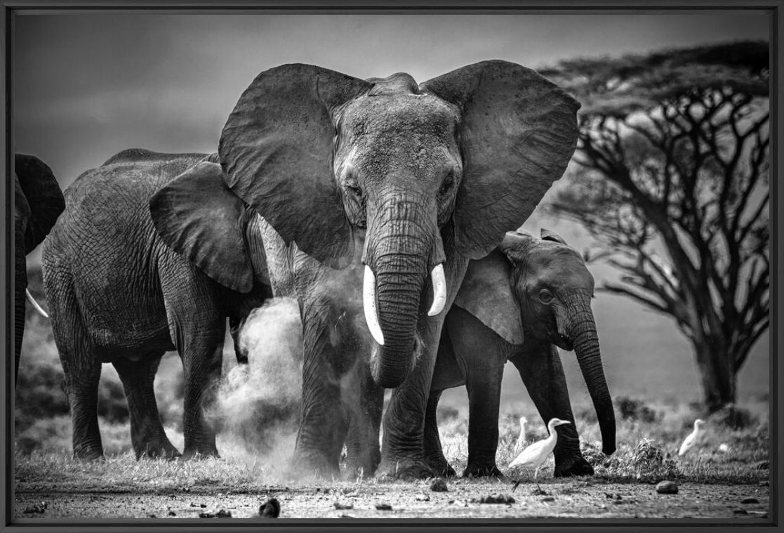 Photographie BOND - RODNEY BURSIEL - Tableau photo