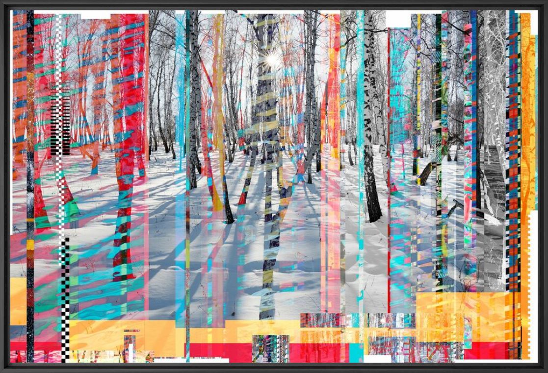 Fotografie Winterly Birch forest blindes - RUDI SEBASTIAN - Bildermalerei