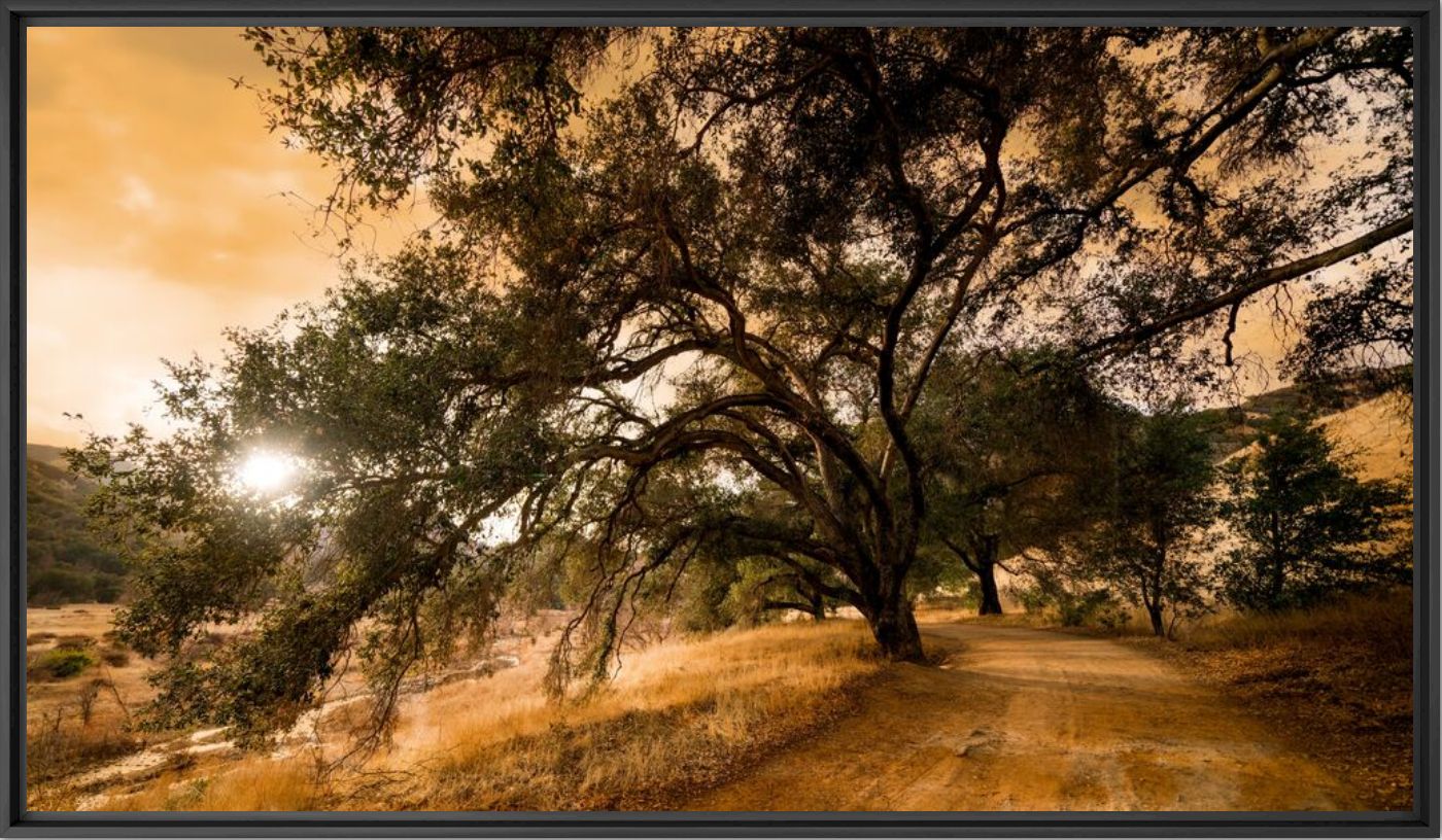 Fotografía LA BALADE DE MALIBU - SERGE RAMELLI - Cuadro de pintura