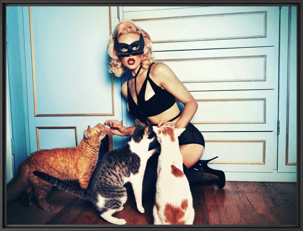 Photographie NEW YORK DIARIES THE CATS - TATIANA GERUSOVA - Tableau photo