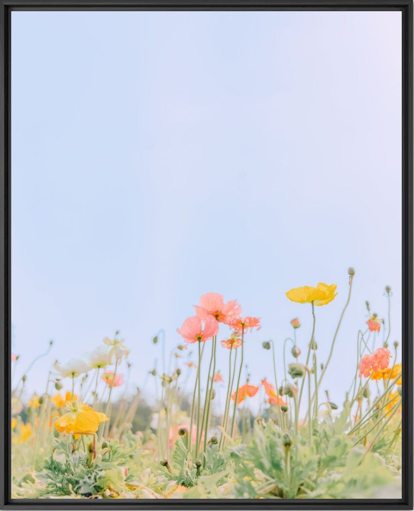 Kunstfoto Dancing flora - Teresa Freitas - Foto schilderij