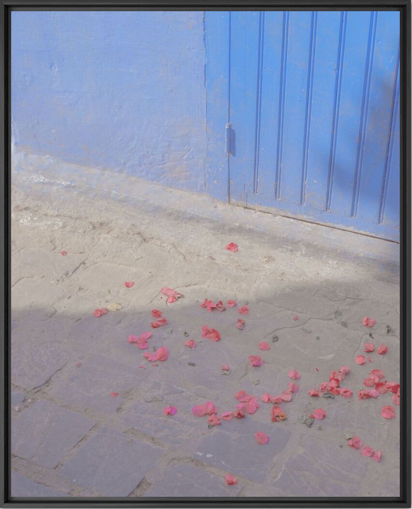 Fotografía Petals in indigo - Teresa Freitas - Cuadro de pintura