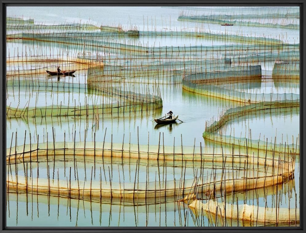 Photographie Labyrinth - THIERRY BORNIER - Tableau photo