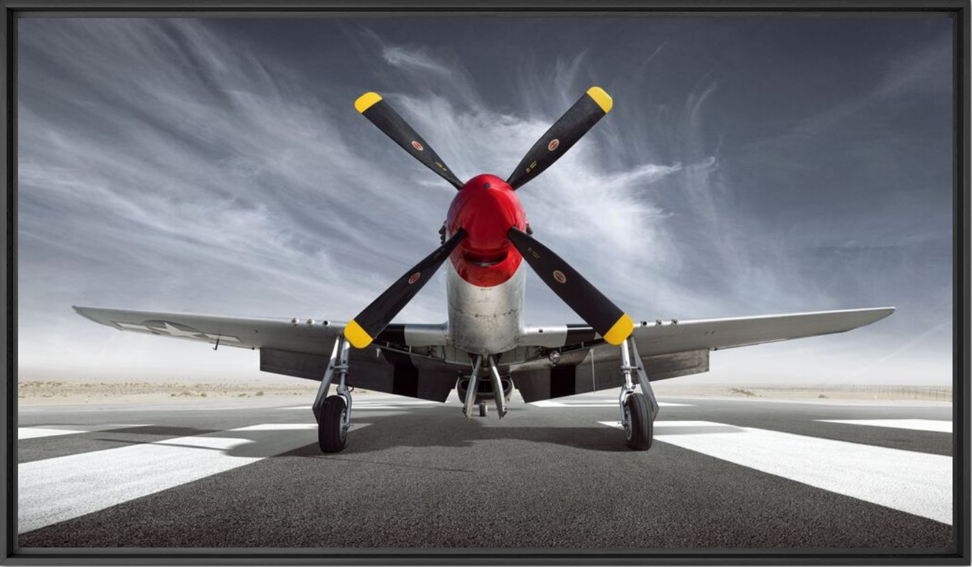 Photograph P51D Mustang - Tim Wallace - Picture painting