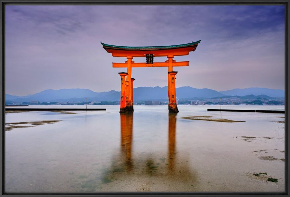 Photograph The Great Torii - TUUL ET BRUNO MORANDI - Picture painting