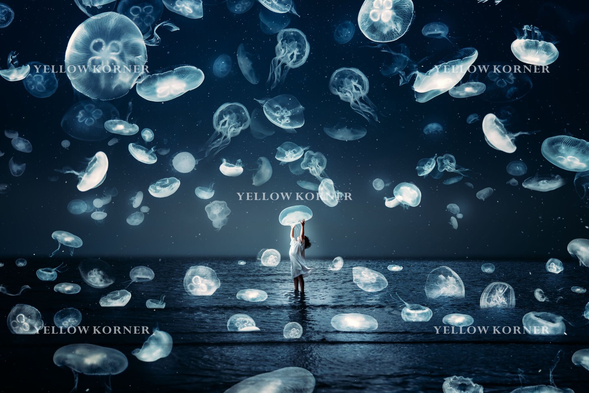 DAYDREAM, Night, MINA MIMBU · Art photographs · YellowKorner