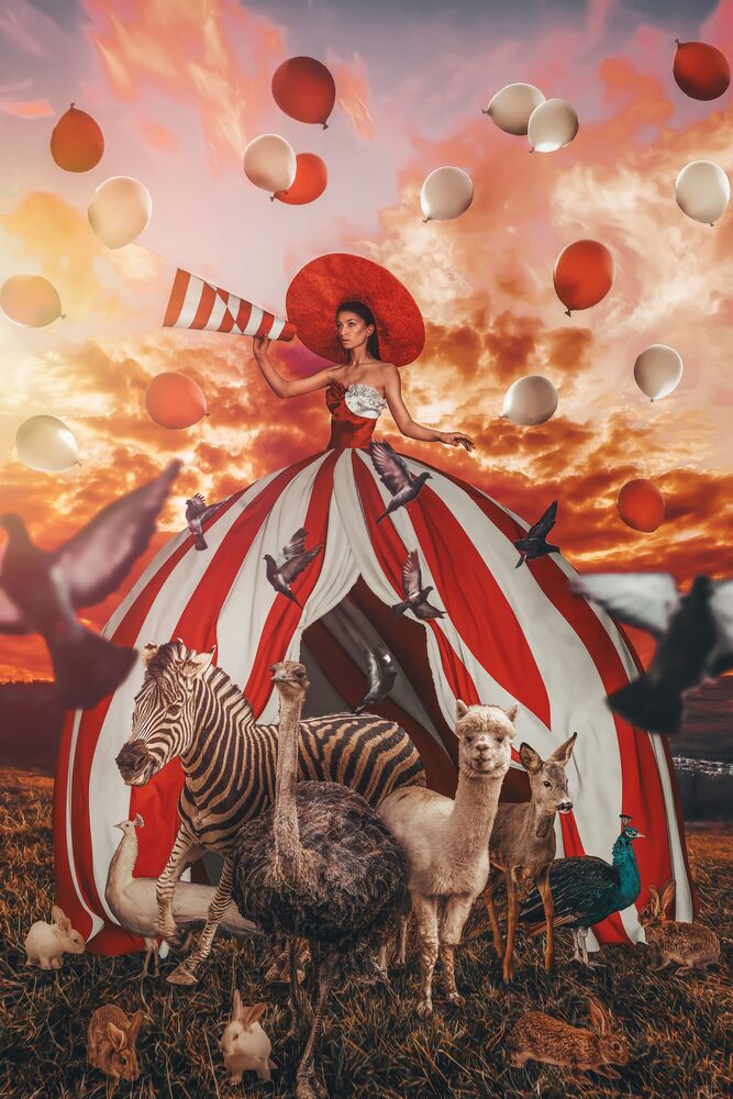 Fantastic Circus Montage Alexey Vladimir · Art Photographs · Yellowkorner 