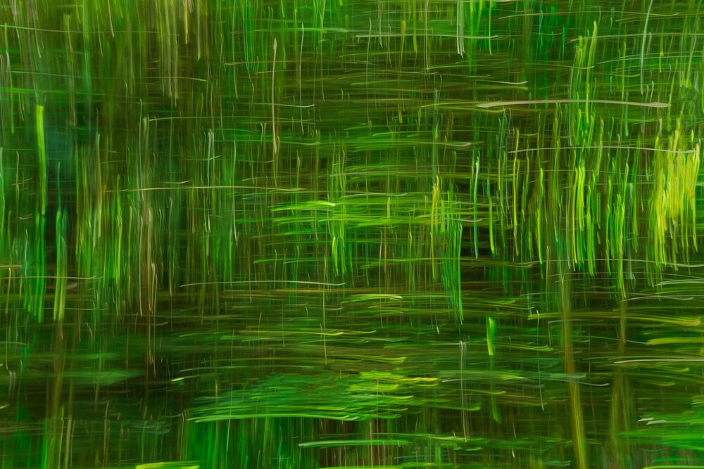 Kunstfoto Moving bamboo - Bart Debo - Foto schilderij