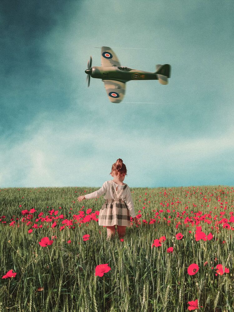 Spitfire over poppy field, Airplanes, Transportation