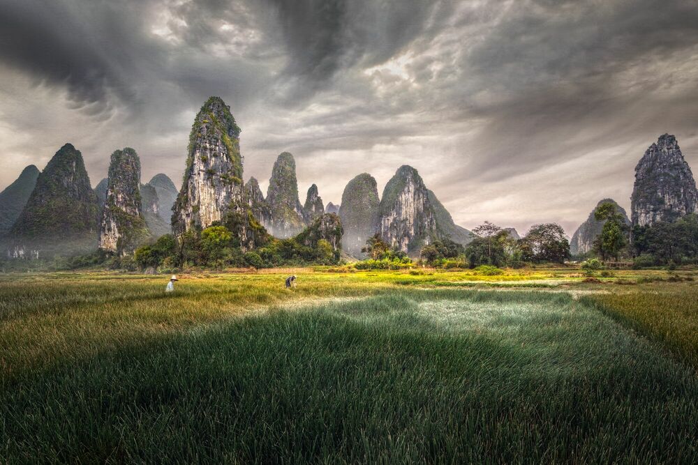Photograph Guilin Scenery - DANIEL METZ - Picture painting