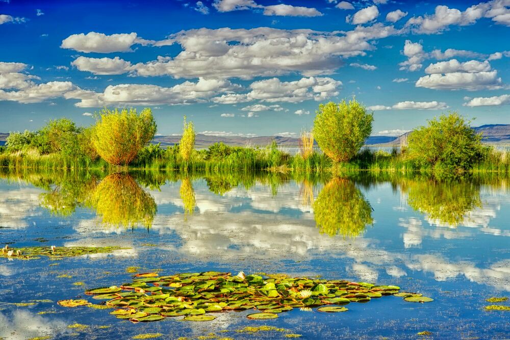 Kunstfoto Placid Pond - DENNIS FRATES - Foto schilderij