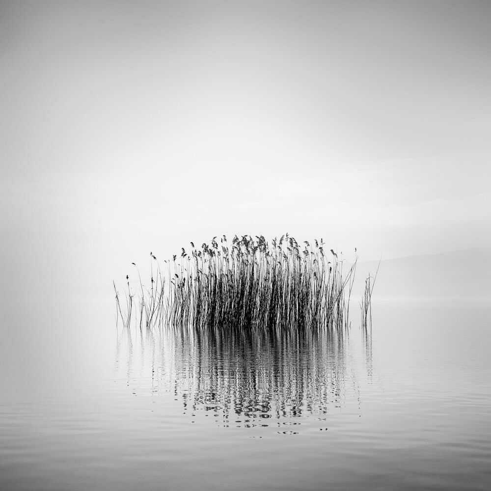 Photograph ECHOING SPACES - GEORGE DIGALAKIS - Picture painting