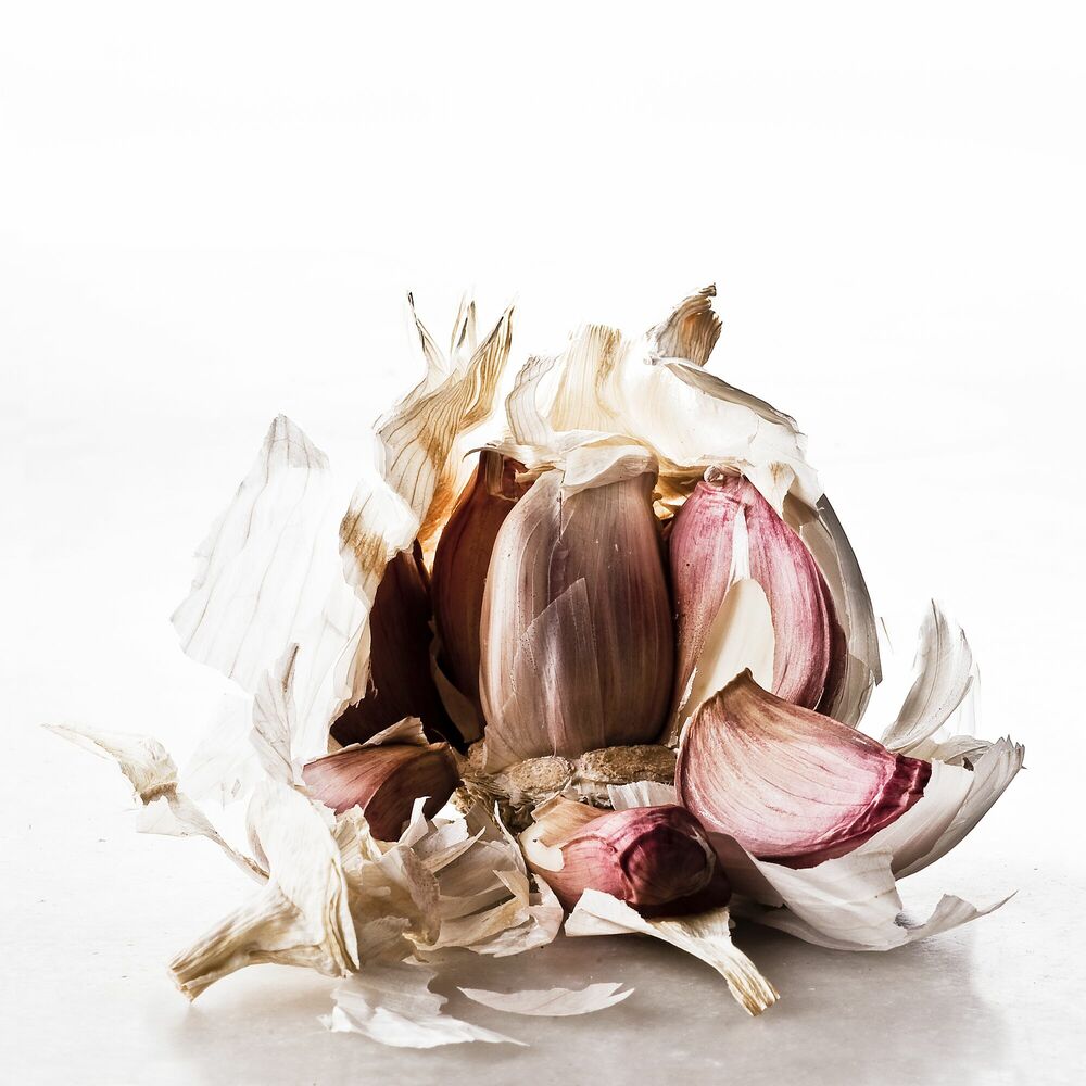 Photograph FOOD WASTE GARLIC - GILDAS PARE - Picture painting