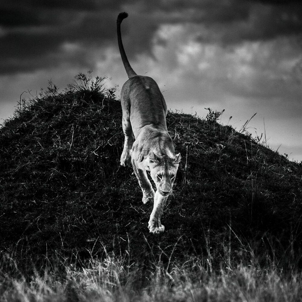 Photograph On the way - LAURENT BAHEUX - Picture painting