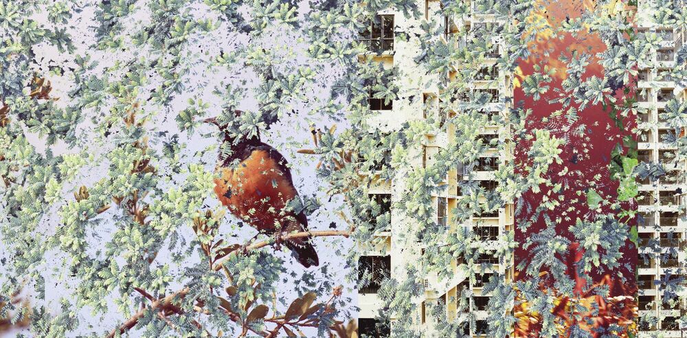 Kunstfoto Night with Bird - SHAN KUN WU - Foto schilderij