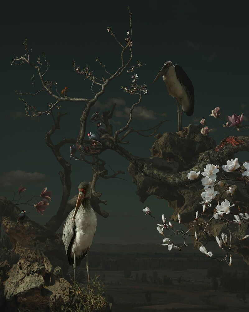 Photograph MAGNOLIA AND CRANE - YANG BIN - Picture painting
