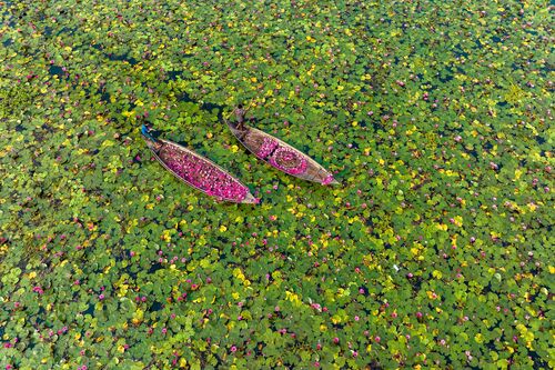 Boating admidst natures canvass - Abdul MOMIN - Photograph