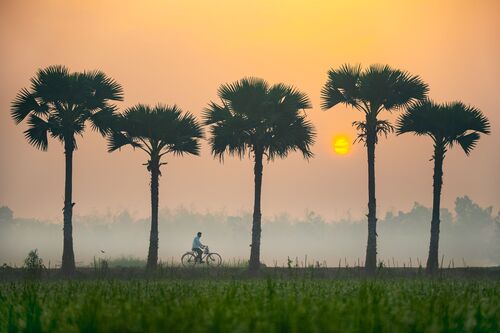 A winter morning - Abdul MOMIN - Fotografia