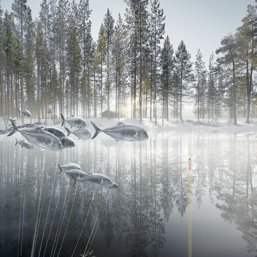 Les Poissons - ALASTAIR MAGNALDO - Kunstfoto