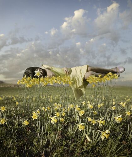 Yellowbud - ALASTAIR MAGNALDO - Fotografía