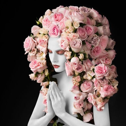 Roses - ALFREDO SANCHEZ - Kunstfoto