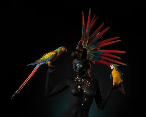 Trio of Macaws - ALFREDO SANCHEZ - Kunstfoto