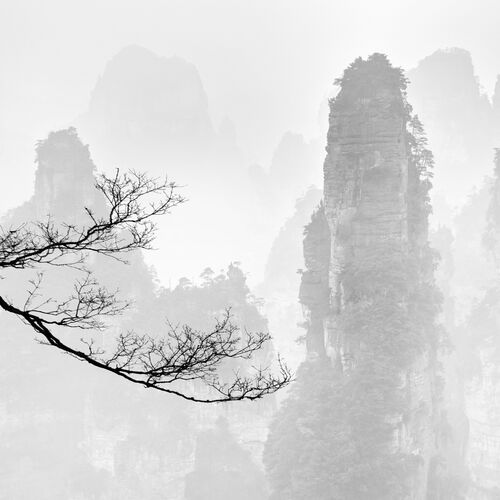 AMAZING ZHANGJIAJIE - ALMA  - Fotografie