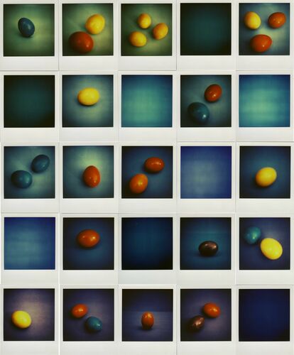 EGGS - ANDREA EHRENREICH - Photograph