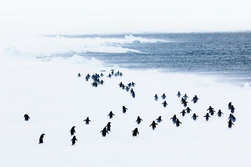 WHITE STORM - ANDREW PEACOCK - Fotografia