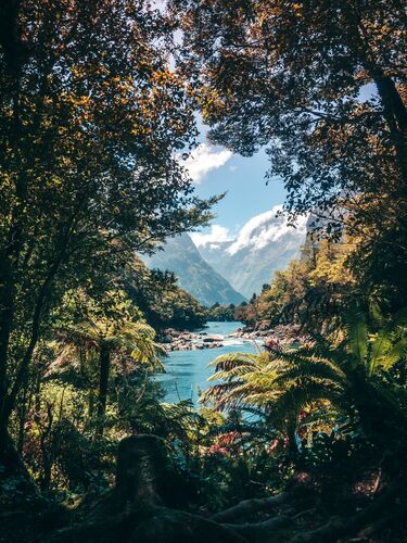 A glimpse of paradise - ARNAUD VILASECA - Fotografía