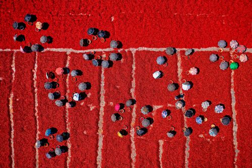 Red chilies 2 - Azim Khan Ronnie - Photographie