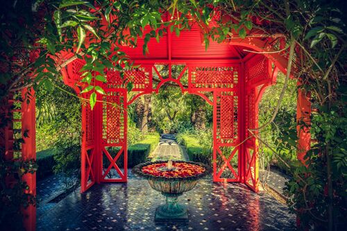 MARRAKECH JARDIN EXOTIQUE - BERNHARD HARTMANN - Photographie