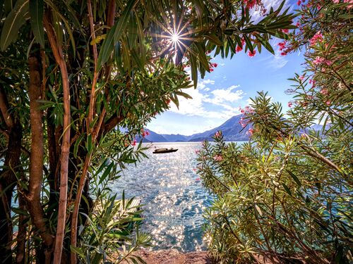 Southern breeze - BERNHARD HARTMANN - Fotografía