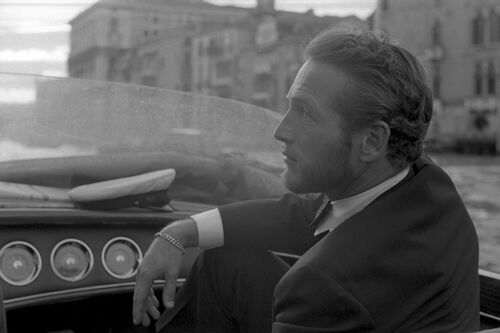 Paul Newman 1963 Paul Newman 1963 - BRIDGEMAN IMAGES - Fotografie