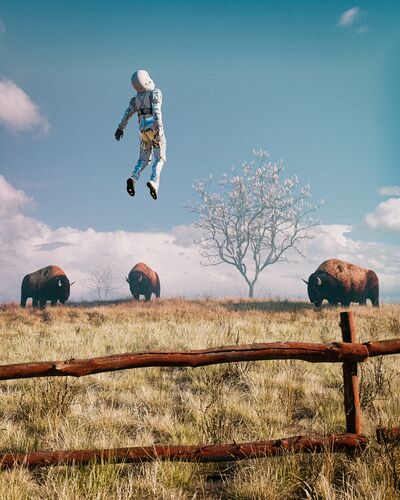 Astro buffalo field - Cameron  Burns - Kunstfoto