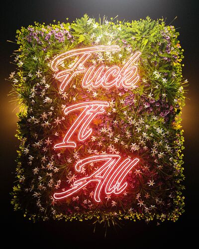 Fuck it all - Cameron  Burns - Kunstfoto