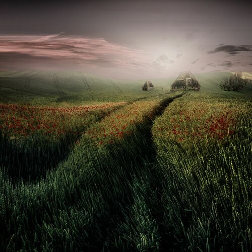 Haus am feld - CHRISTINE ELLGER - Photographie