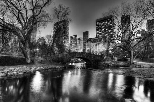 Central Park Evening - CHRISTOPHER BLISS - Photograph