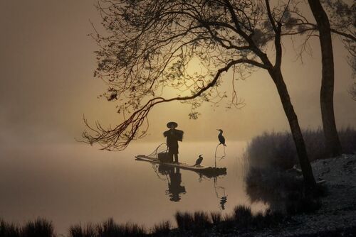 Chinese Fisherman - DANIEL METZ - Fotografía